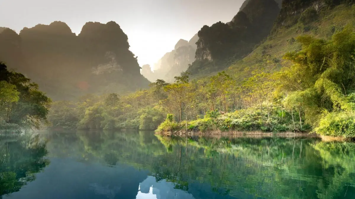 绿色高质量精密
